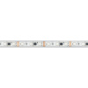 Светодиодная лента герметичная Arlight 14W/m 60LED/m 5060SMD разноцветный 5М DMX-PS-B60-12mm 12V 039605