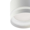 Потолочный светильник Citilux Hardy CL002C10