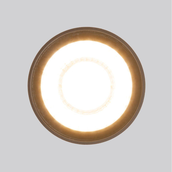 Уличный светодиодный светильник Elektrostandard Light Led 35132/H черный a056231