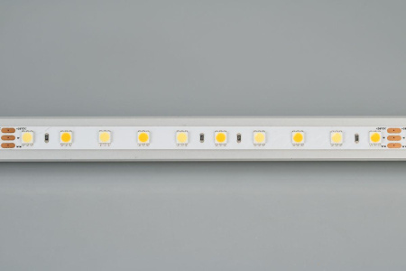 Светодиодная лента Arlight 14,4W/m 60LED/m 5060SMD холодный/теплый белый 5M RT-B60-10mm 24V White-MIX 025213(1)