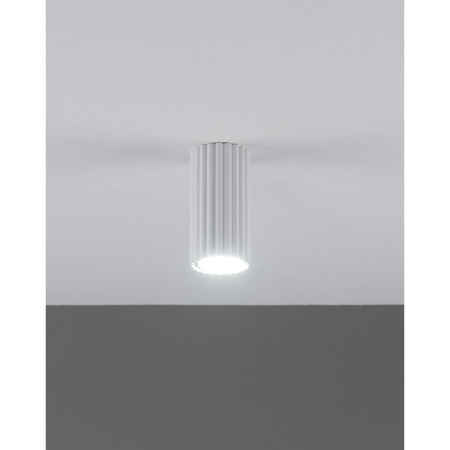 Настенно-потолочный светильник Moderli Cora V11888-1C