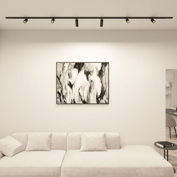 Трековый светильник Denkirs Solid Scope DK6060-BK