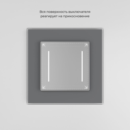 Сенсорный выключатель двухклавишный Werkel с подсветкой серебряный W4522006 4690389198038