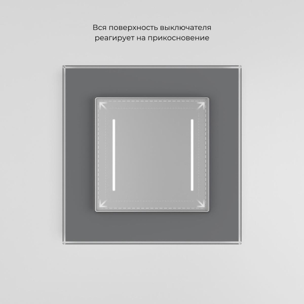 Сенсорный выключатель двухклавишный Werkel с подсветкой серебряный W4523006 4690389197956