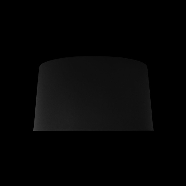 Потолочный светодиодный светильник Loft IT Duo 10360S Black