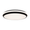 Потолочный светильник Freya Пирог / Pie FR6086CL-L117B