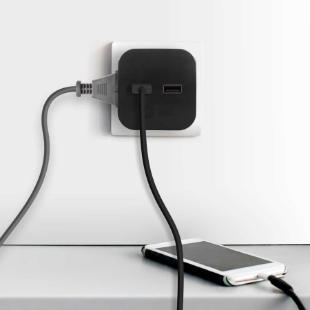 Разветвитель электрический ЭРА SP-2-USB-B на 2 розетки + 2xUSB 2400mA без заземления 10А черный Б0049535