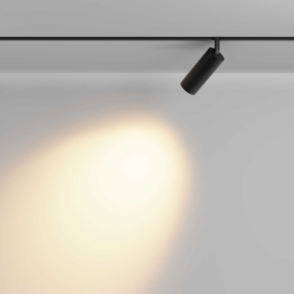 Трековый светильник Maytoni Technical Focus LED TR032-2-12W2.7K-M-B