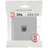 Розетка ЭРА Arktik 16-3107-03 информационная RJ45 алюминий Б0070476