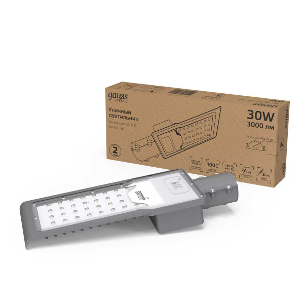 Уличный светодиодный светильник Gauss 629534130