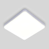 Потолочный светодиодный светильник Elektrostandard DLS043 10W 4200K a047941