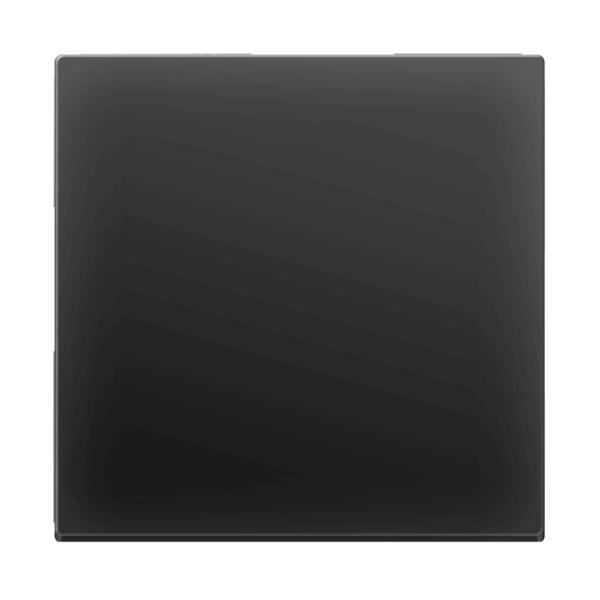 Розетка Werkel влагозащищенная с заземлением с защитой крышкой и шторками графит рифленый W1171204 4690389158643