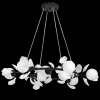 Люстра подвесная Ceramo BW Lightstar 799097