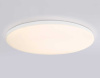 Потолочный светодиодный светильник Ambrella light Orbital Dance FZ2003
