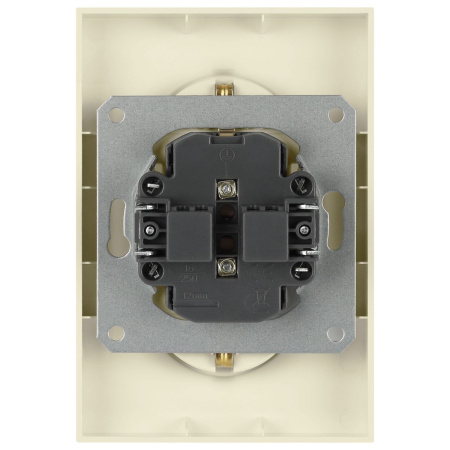 Розетка ЭРА Arktik 16-2105-02 двойная с заземлением 2X2P+E Schuko со шторками 16А-250В слоновая кость Б0070455