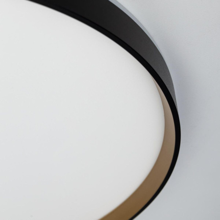 Светильник с пультом Citilux ETALON CL750501R