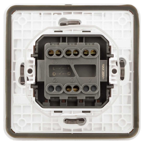 Выключатель ЭРА Эксперт 11-1524-01 двойной IP55 10АХ-250В СУ белый Б0063271
