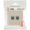 Розетка ЭРА Arktik 16-3108-04 информационная двойная 2XRJ45 шампань Б0070487