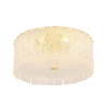 Потолочный светильник Crystal Lux Oviedo PL6