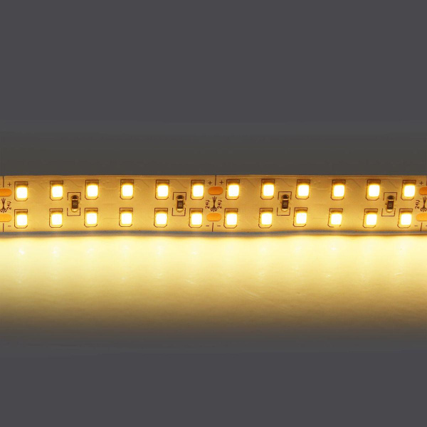 Светодиодная лента Lightstar 24W/m 240LED/m теплый белый 5M 421503