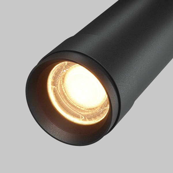 Потолочный светильник Maytoni Technical C055CL-L12W2.7K-Z-B