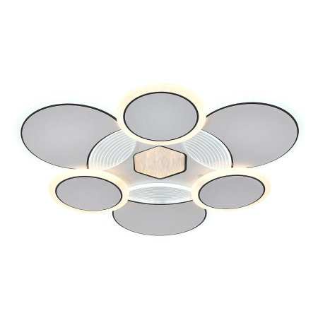 Потолочный светодиодный светильник Escada Dune 10277/6LED