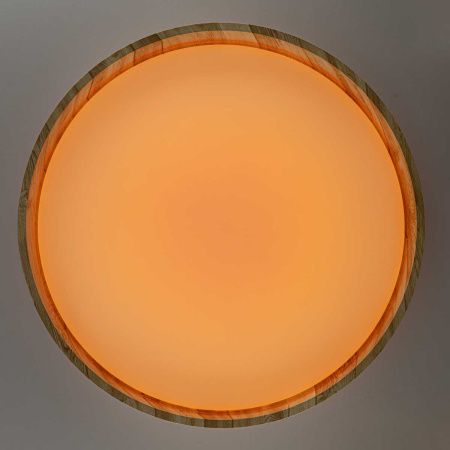 Потолочный светодиодный светильник Citilux Enzo CL753452G