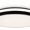 Потолочный светильник Freya Пирог / Pie FR6086CL-L117B