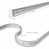 Светодиодная влагозащищенная лента Elektrostandard 8W/m 60LED/m 2835SMD холодный белый 50M a053638