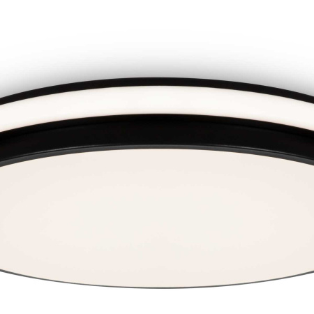 Потолочный светильник Freya Пирог / Pie FR6086CL-L117B