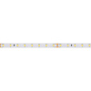 Светодиодная лента Arlight RT-A80-8mm 24V Day4000 024512(2)
