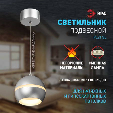 Подвесной светильник ЭРА PL21 SL Б0058505