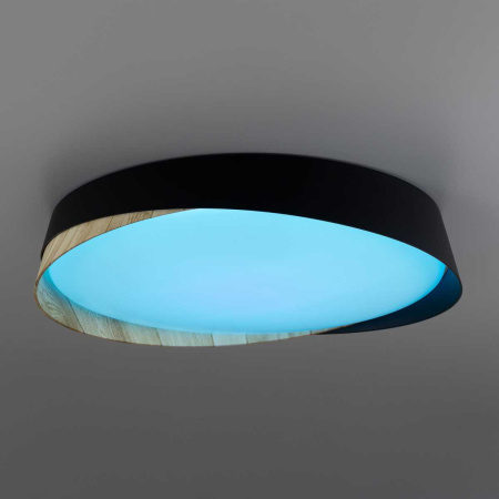 Светильник потолочный Citilux BONNY CL754351G