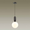 Подвесной светильник Odeon Light Pendant Okia 4668/1