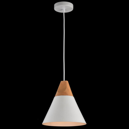Подвесной светильник Maytoni Bicones P359-PL-01-W