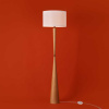 Торшер Freya Modern Swan FR5626FL-01T