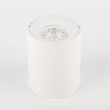 Потолочный светильник ЭРА OL1 GU10 WH Б0041503