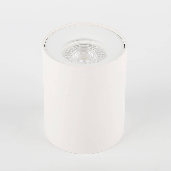 Потолочный светильник ЭРА OL1 GU10 WH Б0041503