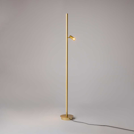Торшер Maytoni Modern Thin MOD395FL-L28BS3K