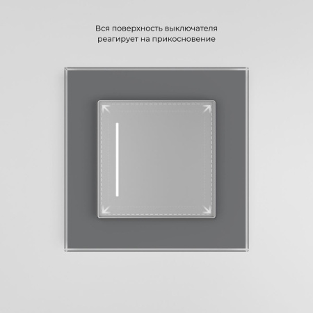 Сенсорный выключатель одноклавишный Werkel (Умный дом) с подсветкой серебряный W4513006 a064143