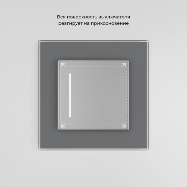 Сенсорный выключатель одноклавишный Werkel (Умный дом) с подсветкой серебряный W4513006 a064143