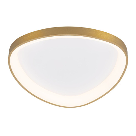 Потолочный светодиодный светильник Citilux Genka Smart CL756A142