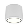 Потолочный светильник Maytoni Technical Rendo C095CL-GX53-W