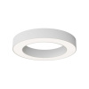 Потолочный светильник Maytoni Technical C093CL-36W4K-W