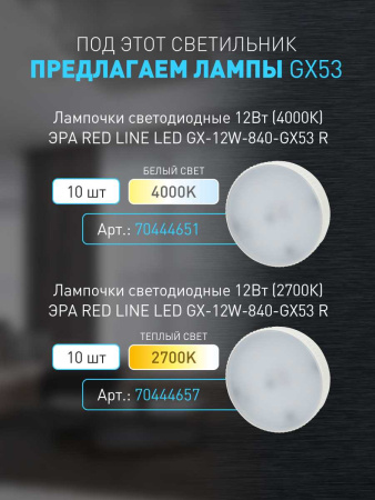 Настенно-потолочный светильник ЭРА OL38 WH Б0056387