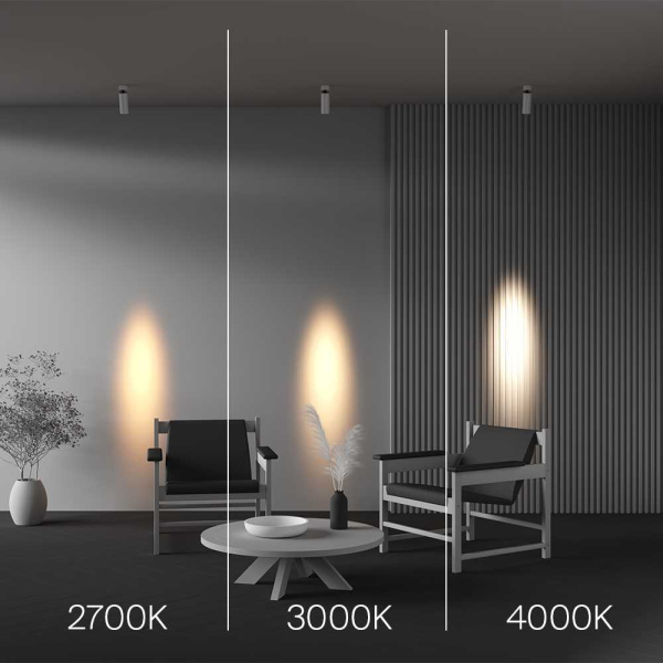 Потолочный светильник Maytoni Technical C055CL-L12W2.7K-SS-W