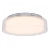 Потолочный cветильник Nowodvorski Pan Led Chrome 8174