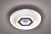 Потолочный светодиодный светильник Escada 10254/S LED