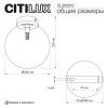 Светильник Citilux ORTON CL202512