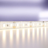 Светодиодная лента Standard Maytoni Led Strip 10111
